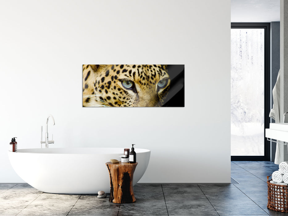 Leopard mit blauen Augen, Glasbild Panorama