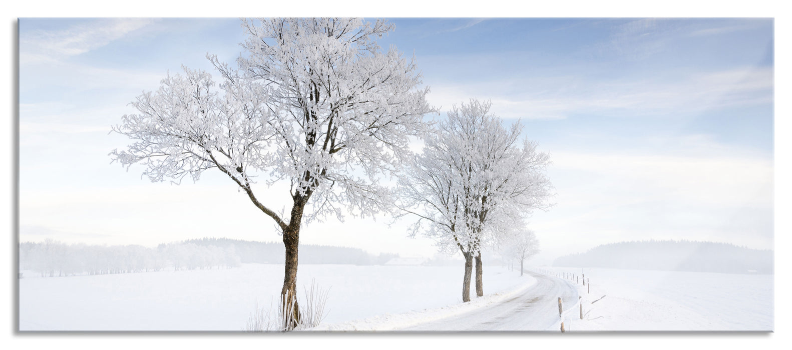 Baum im Schnee, Glasbild Panorama