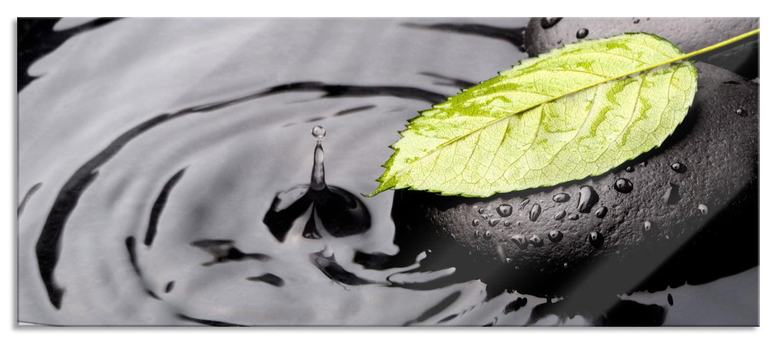 Stein mit Blatt, Glasbild Panorama