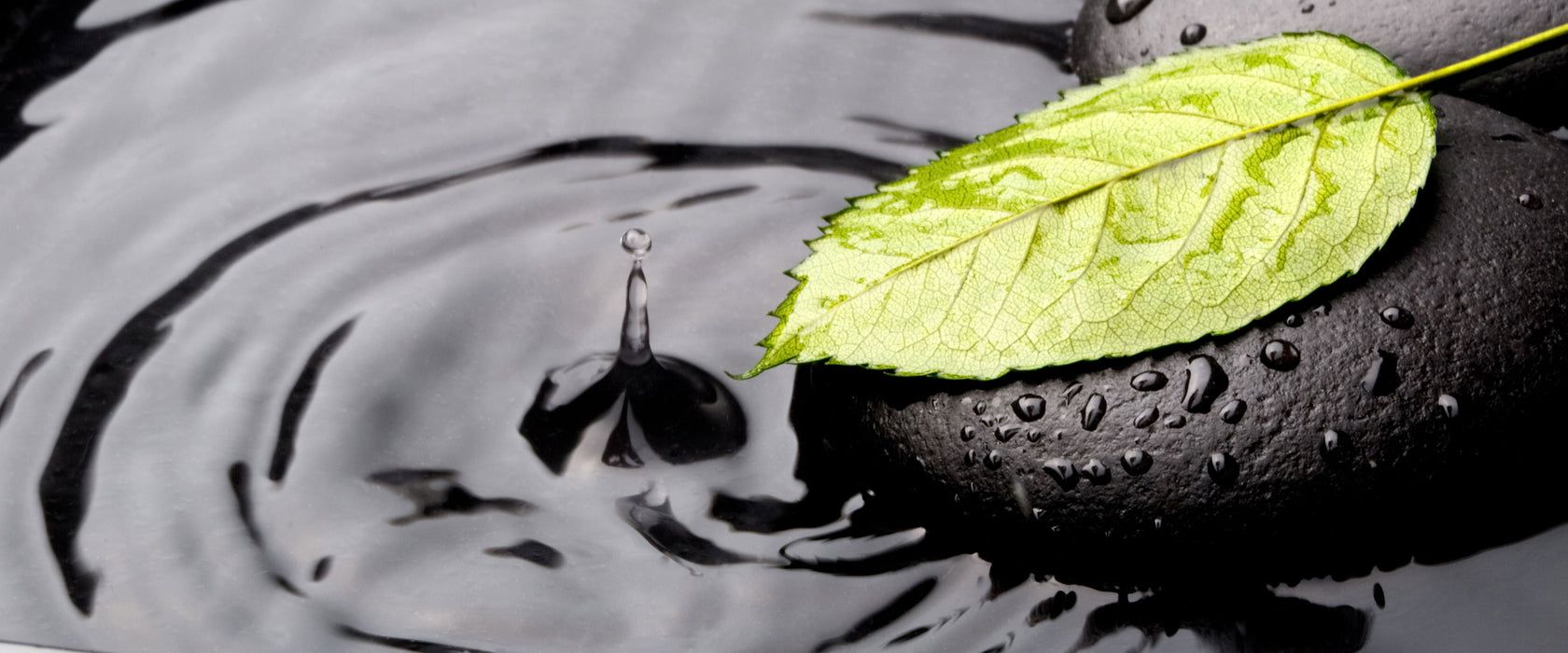 Stein mit Blatt, Glasbild Panorama