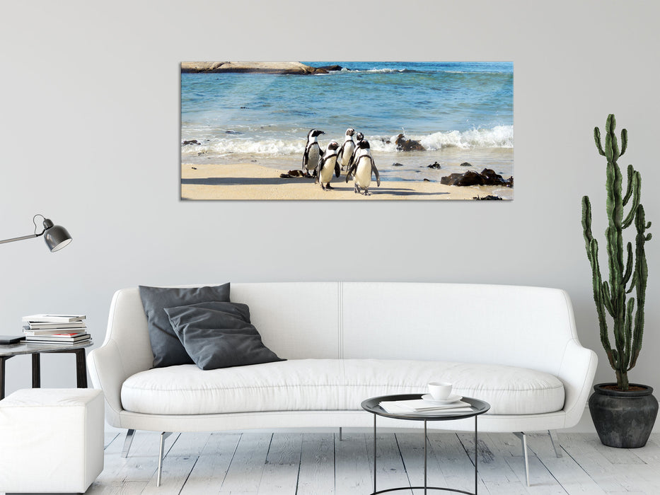 Pinguine am Strand, Glasbild Panorama