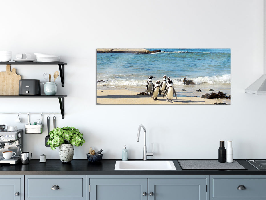 Pinguine am Strand, Glasbild Panorama