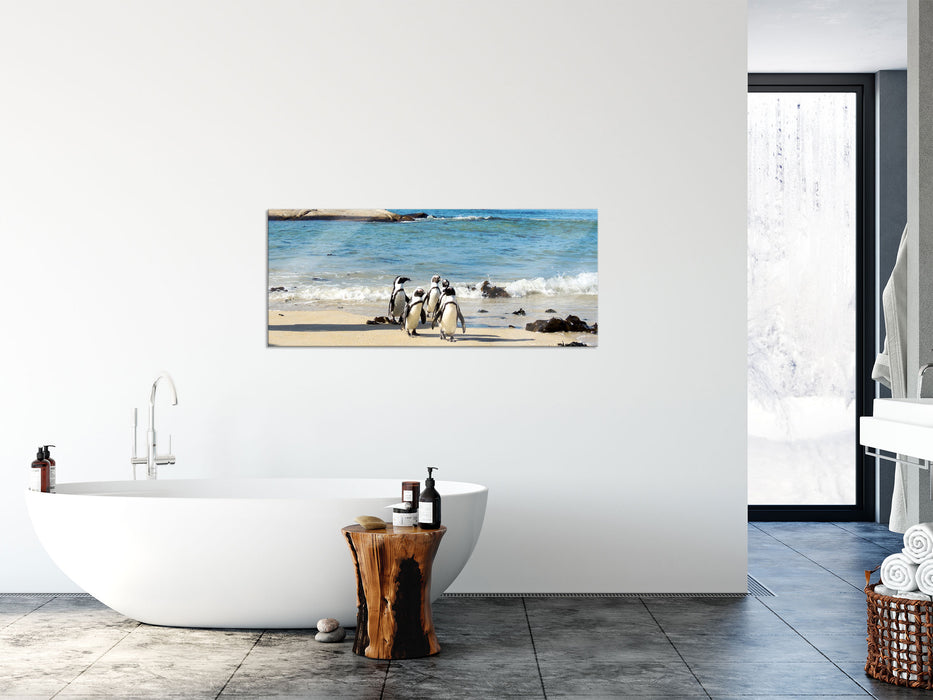 Pinguine am Strand, Glasbild Panorama