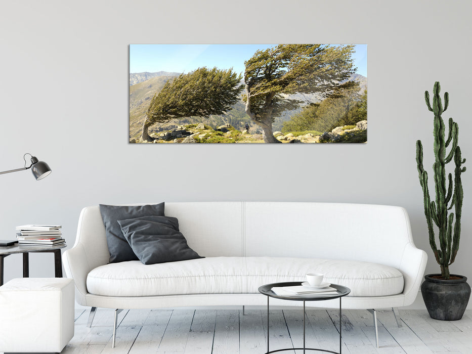 Schiefer Baum, Glasbild Panorama