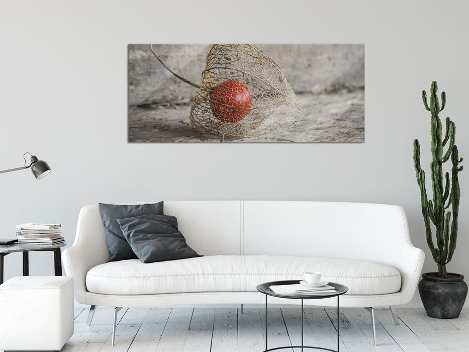 Physalis, Glasbild Panorama