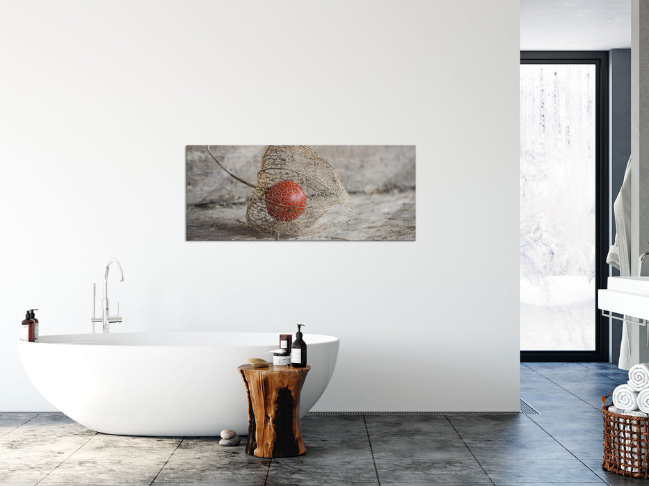 Physalis, Glasbild Panorama