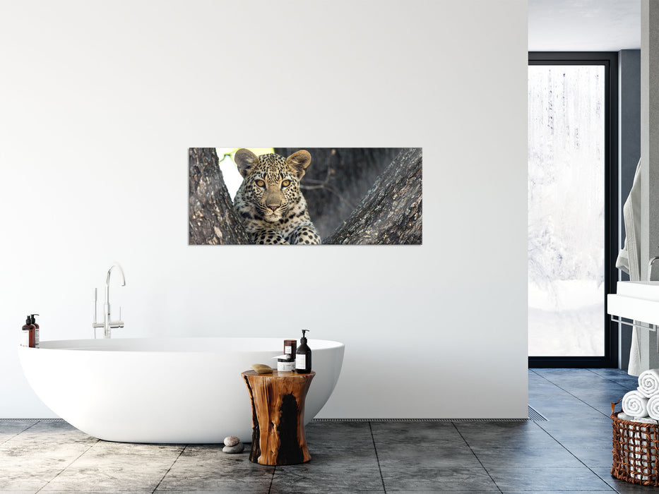 Leopardenbaby, Glasbild Panorama