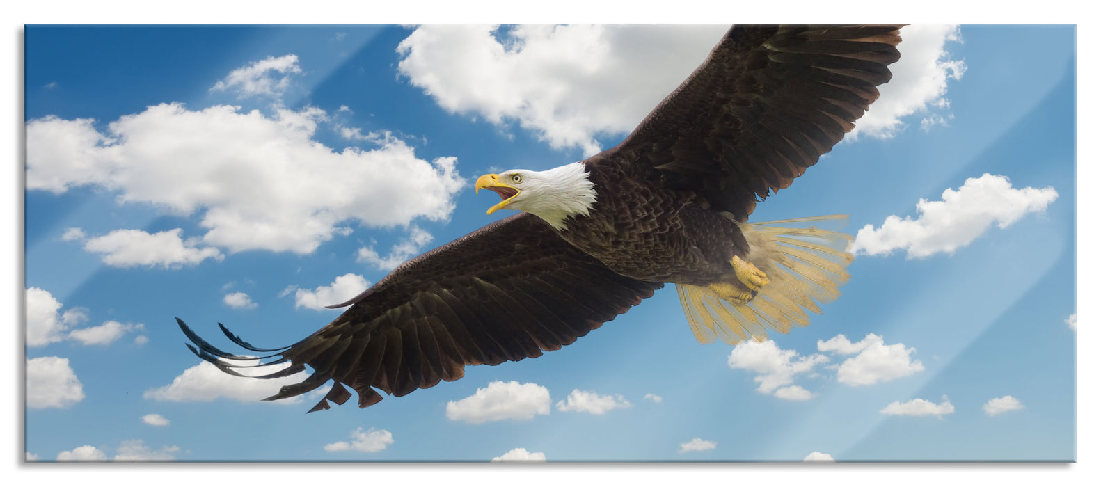 Adler fliegt über Berge, Glasbild Panorama