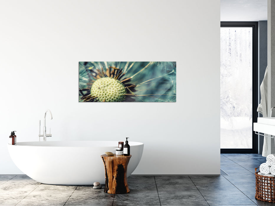 Pusteblume, Glasbild Panorama