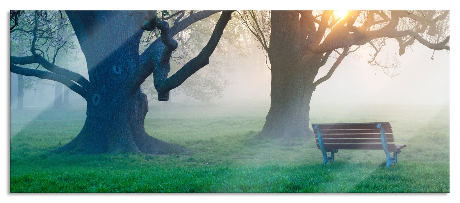 Baum und Bank im Nebel, Glasbild Panorama