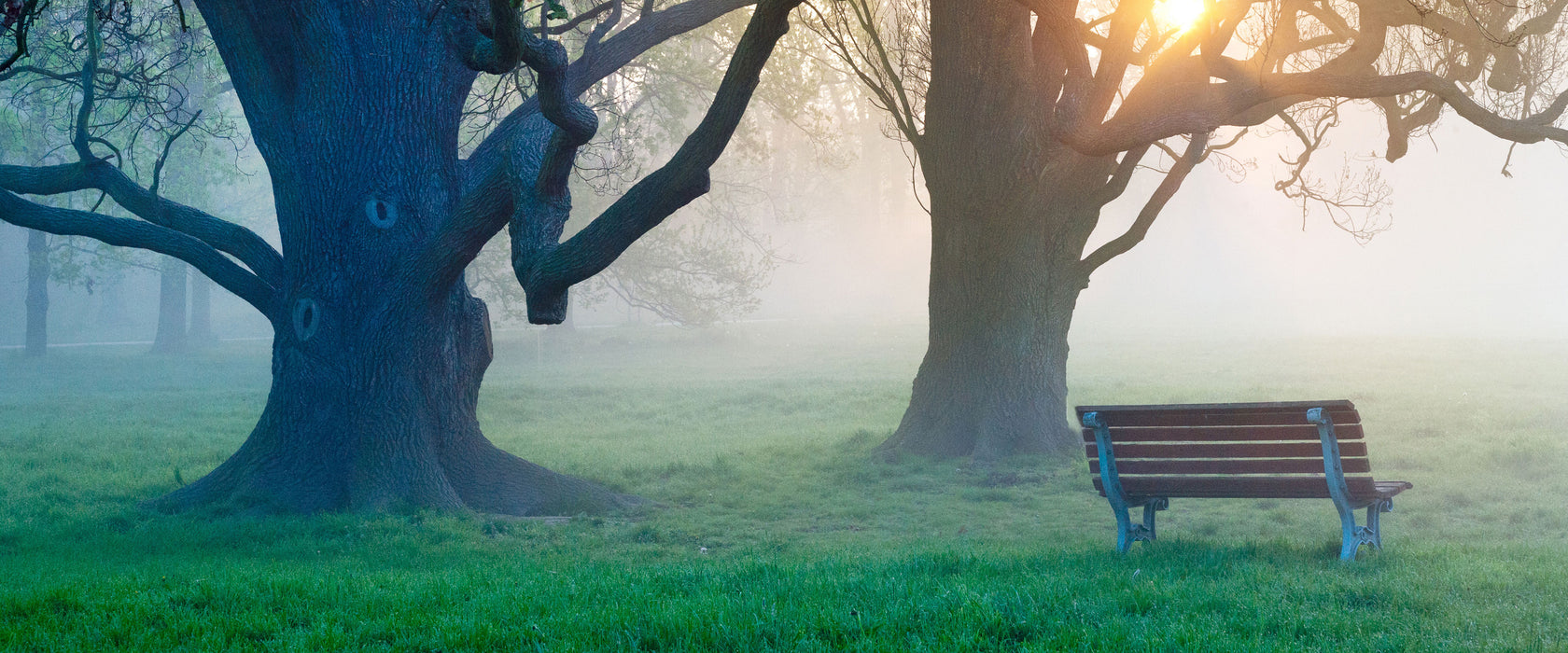 Baum und Bank im Nebel, Glasbild Panorama