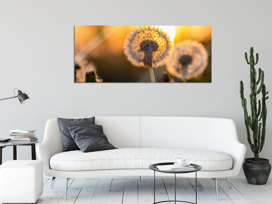 Pusteblume, Glasbild Panorama