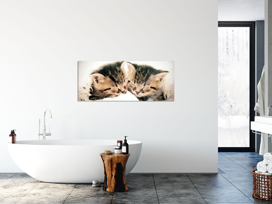 Katzen Herzform, Glasbild Panorama