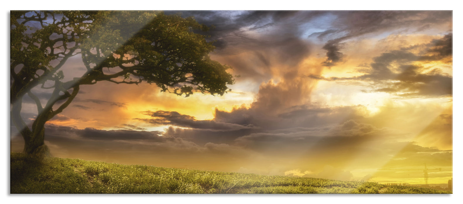 Einsamer Baum schwarz weiß, Glasbild Panorama