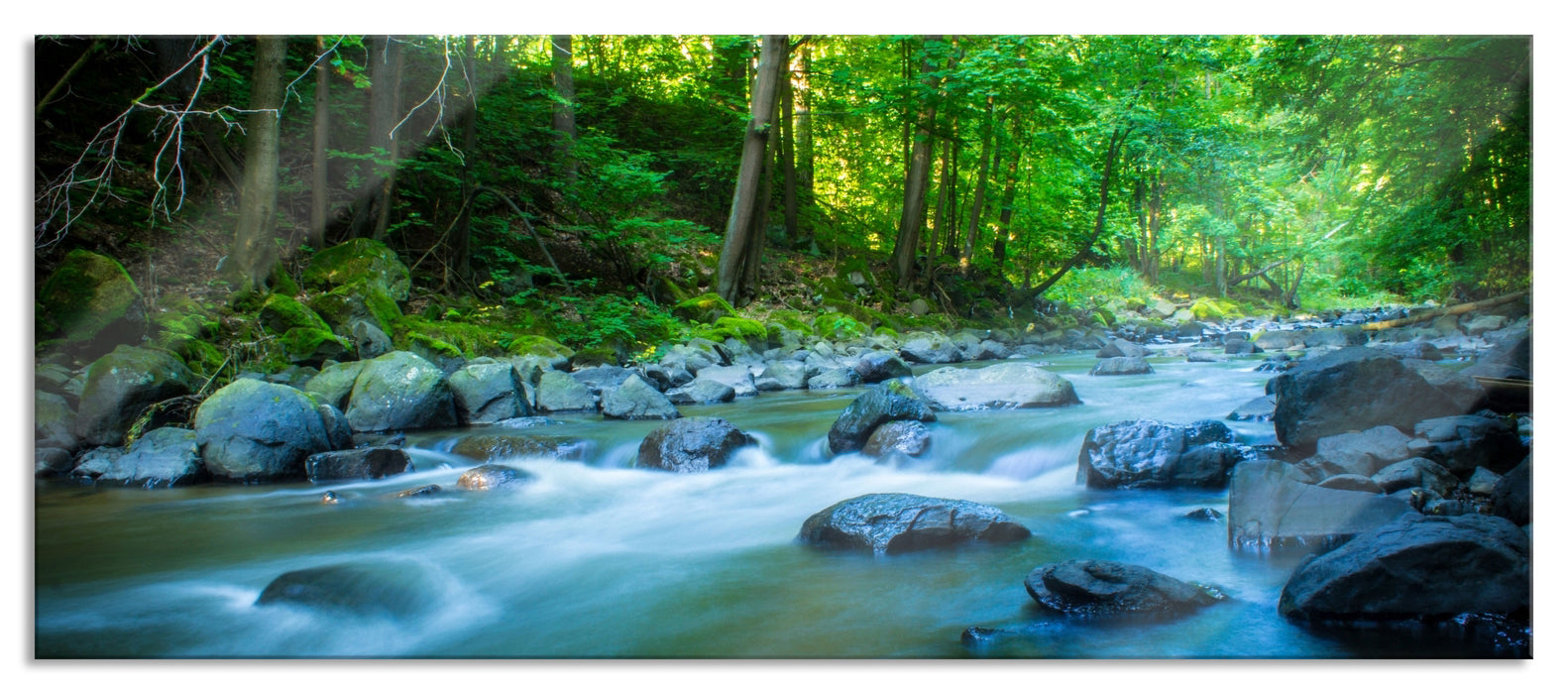 Fluss im Wald mit Steinen, Glasbild Panorama