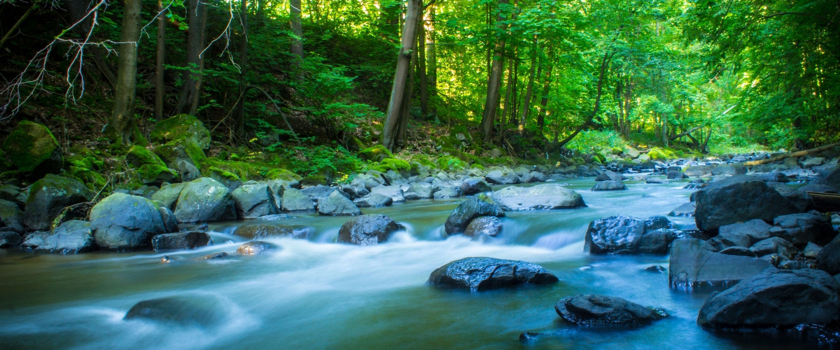 Fluss im Wald mit Steinen, Glasbild Panorama