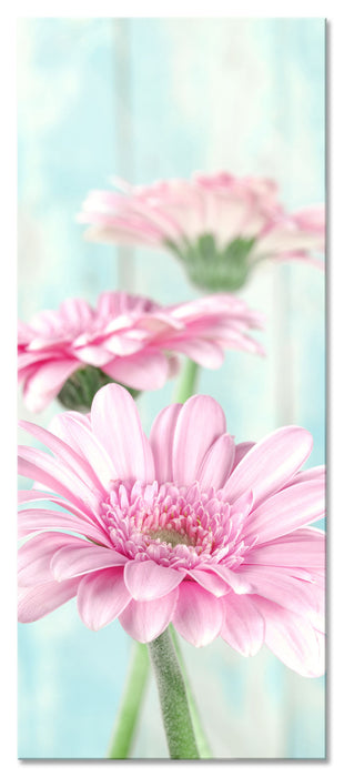 Pixxprint Gerberas, Glasbild Panorama