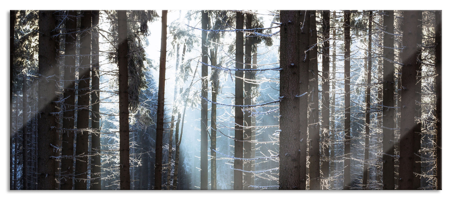 Winterwald, Glasbild Panorama