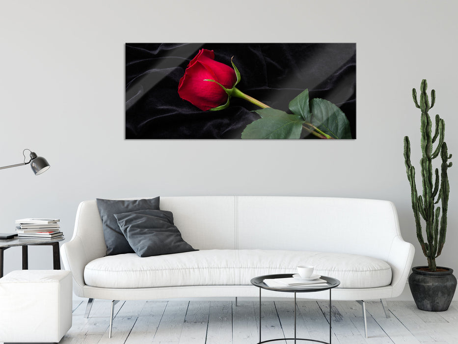 Rose, Glasbild Panorama