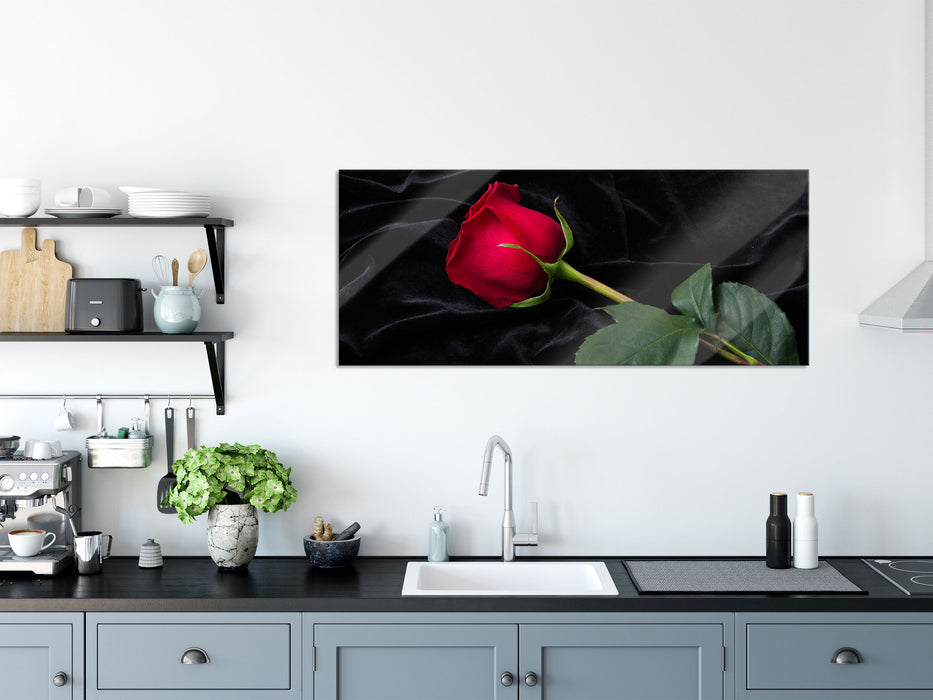 Rose, Glasbild Panorama