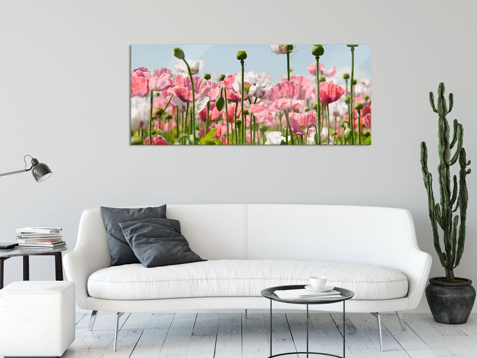 Blumenwiese Mohnblumen, Glasbild Panorama