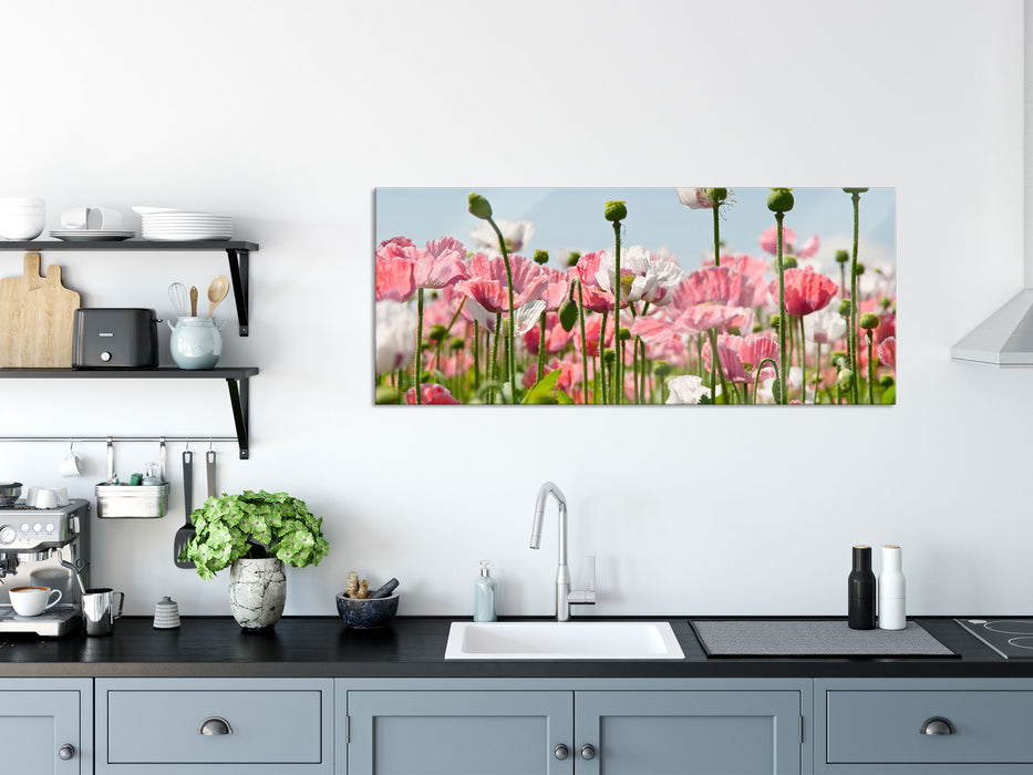 Blumenwiese Mohnblumen, Glasbild Panorama