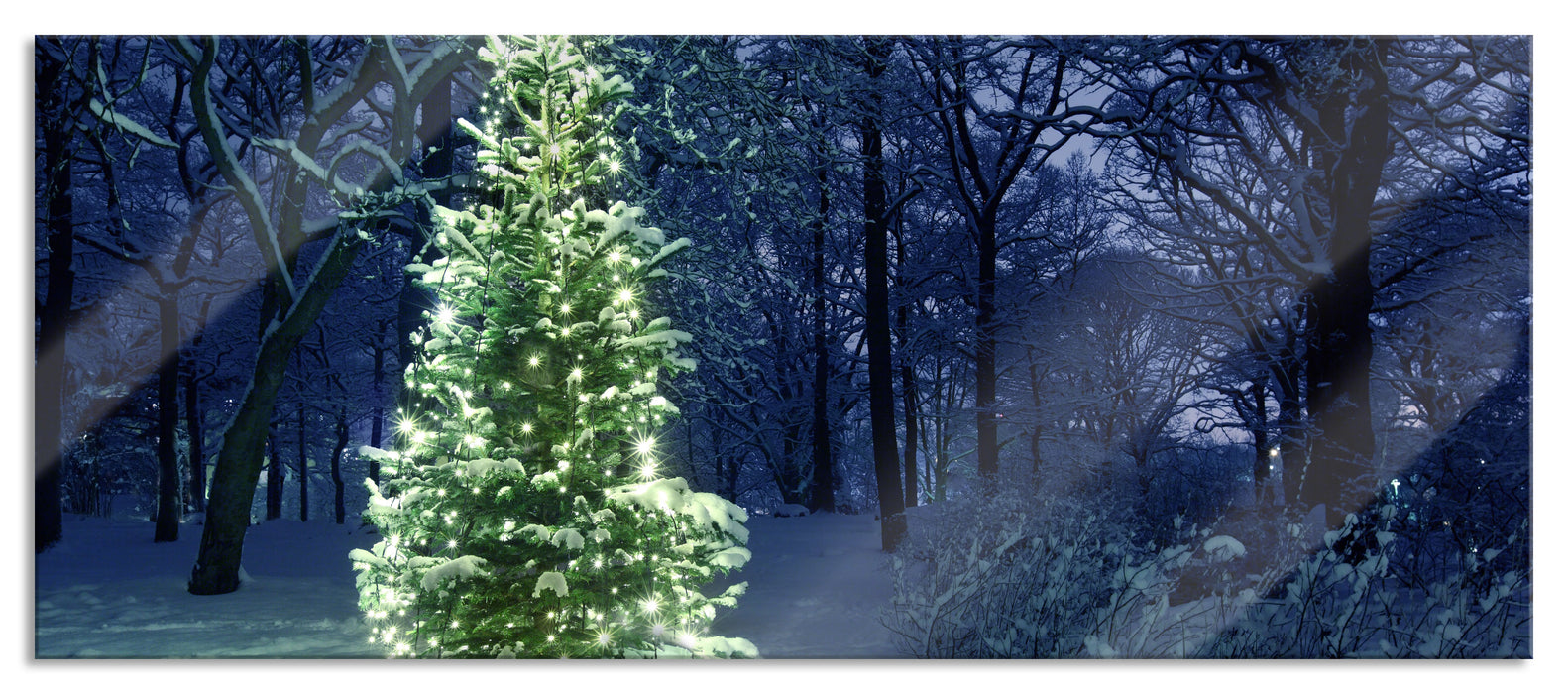 Leuchtender Weihnachtsbaum, Glasbild Panorama