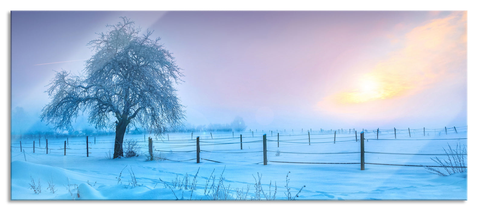 Baum in Winterlandschaft, Glasbild Panorama