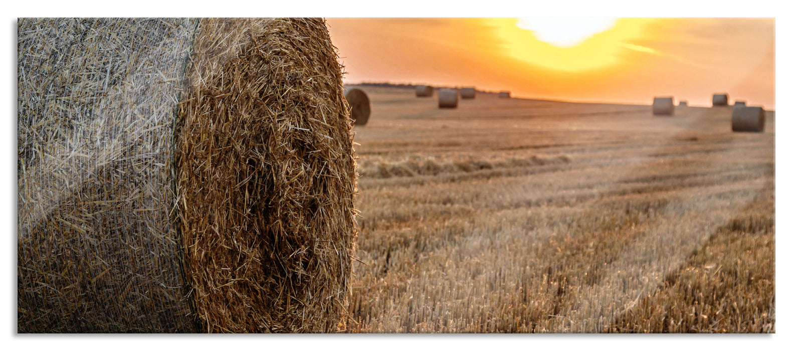 Pixxprint Strohballen auf Feld, Glasbild Panorama