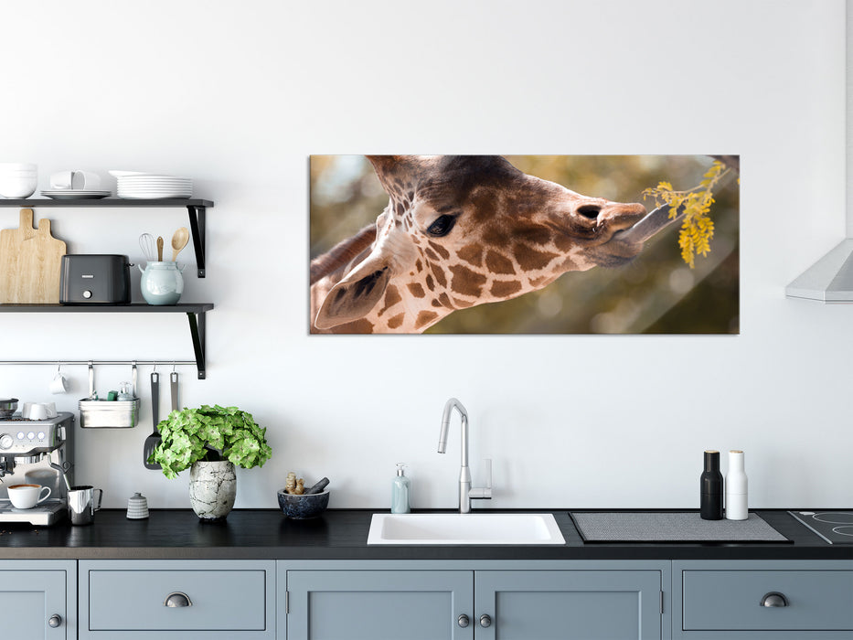 Giraffe Gesicht, Glasbild Panorama