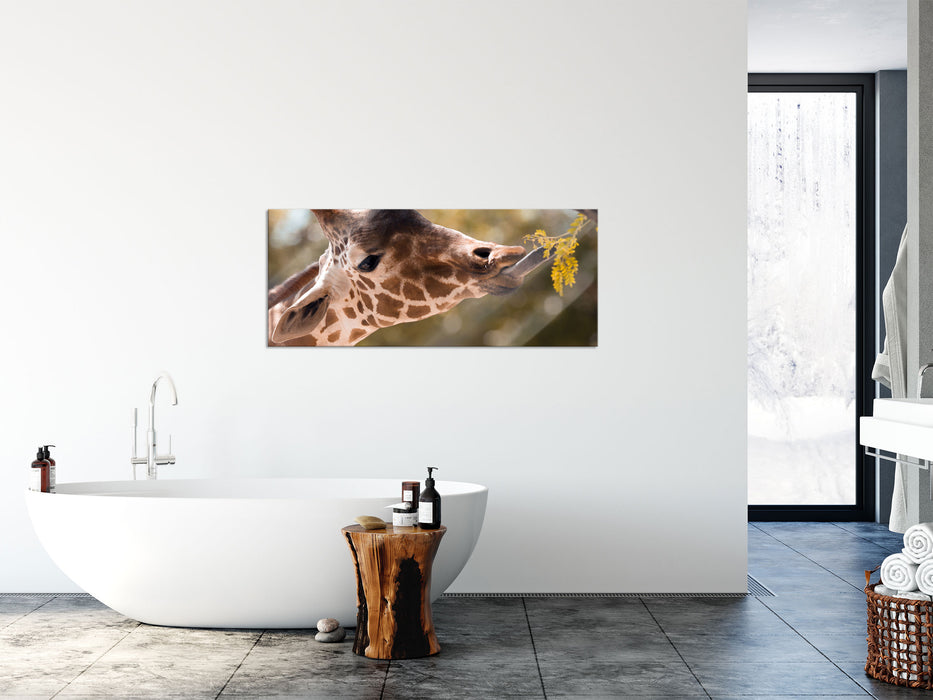 Giraffe Gesicht, Glasbild Panorama