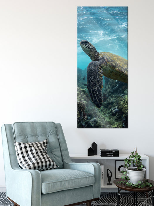 Schildkröte im Pazifik, Glasbild Panorama