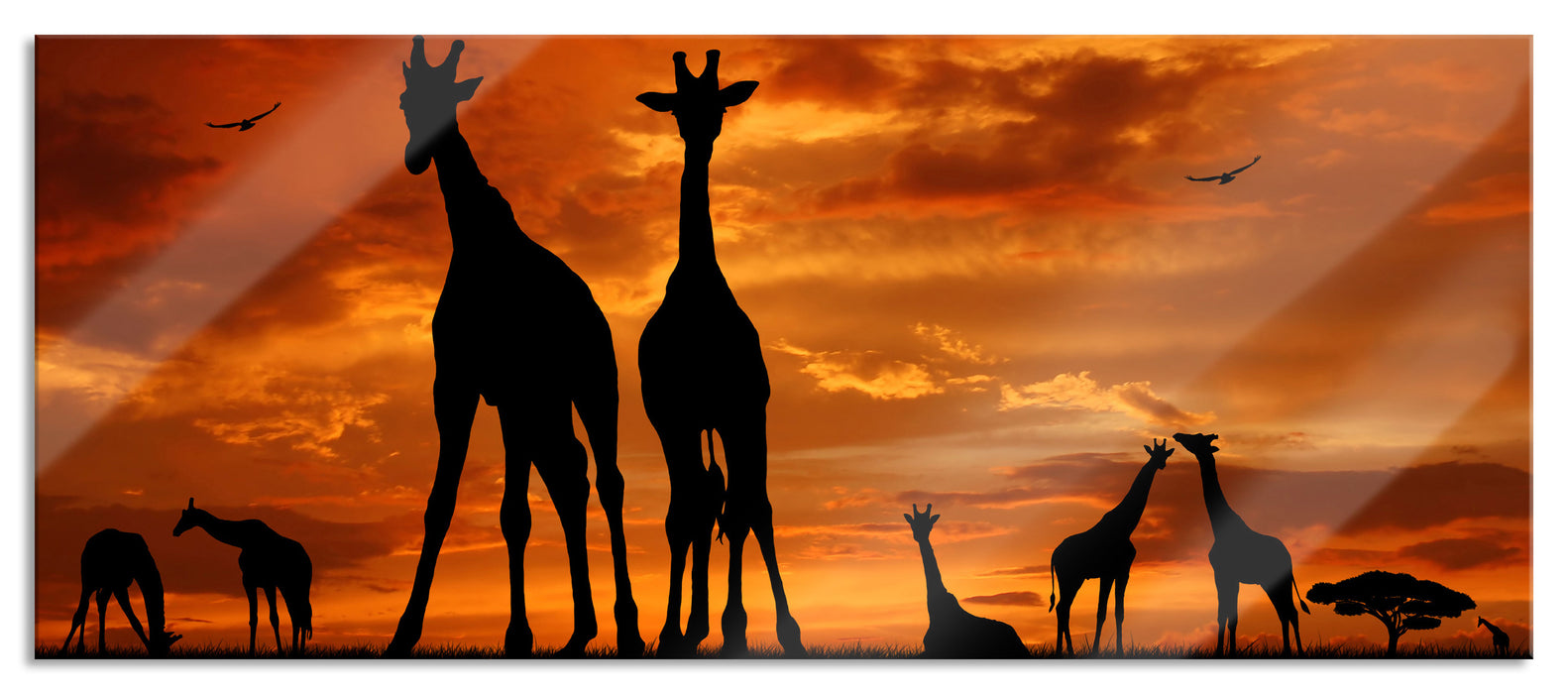 Pixxprint Afrika Giraffen im Sonnenuntergang, Glasbild Panorama