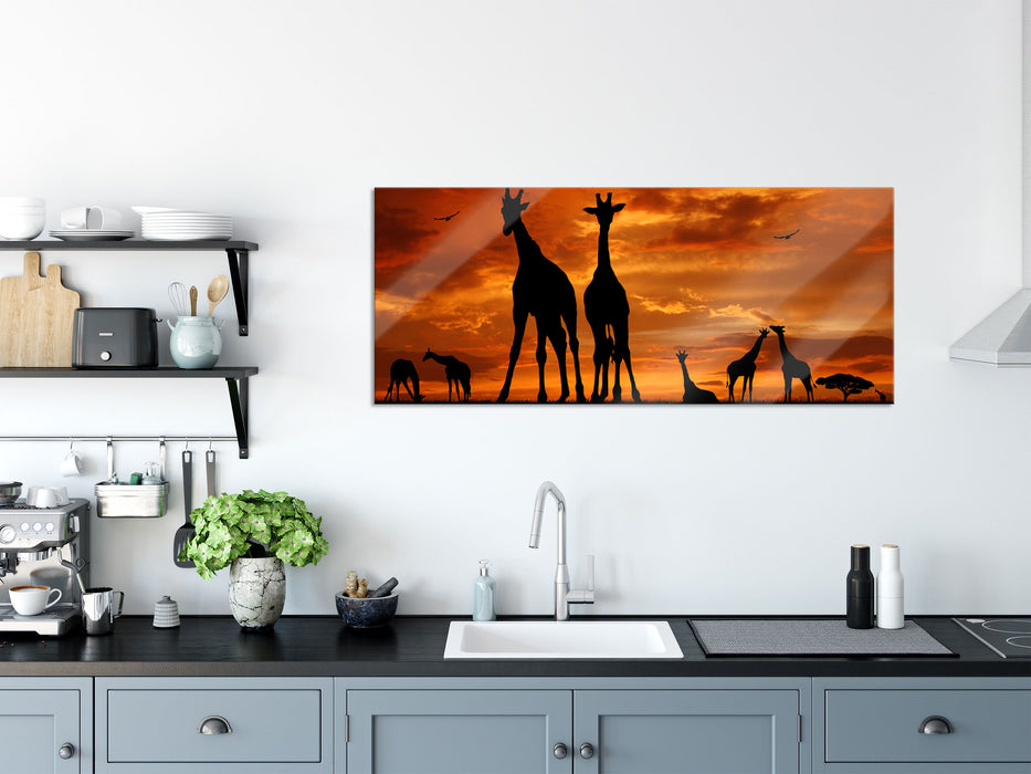 Afrika Giraffen im Sonnenuntergang, Glasbild Panorama