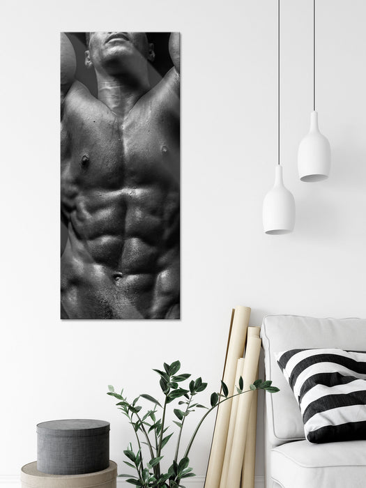 Sixpack Body, Glasbild Panorama