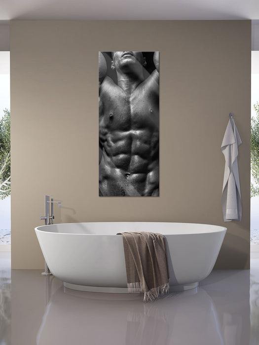 Sixpack Body, Glasbild Panorama