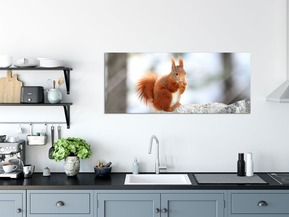 Eichhörnchen im Schnee, Glasbild Panorama