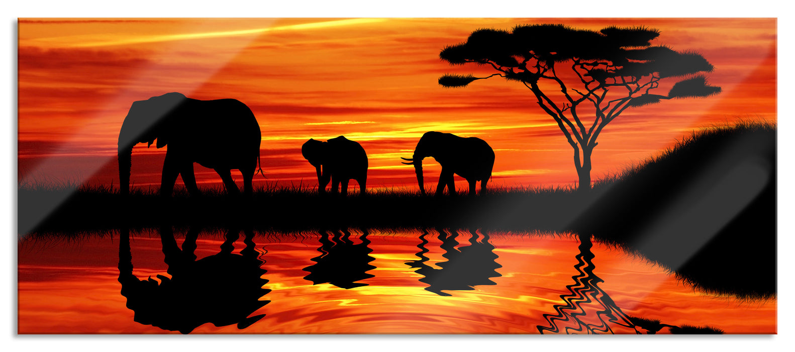 Afrika Elefant in Sonnenschein, Glasbild Panorama