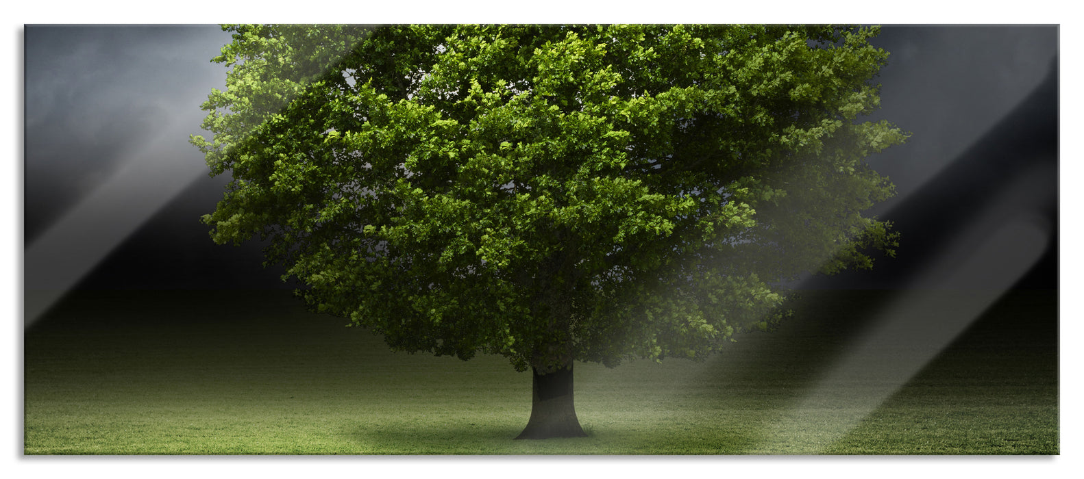 Pixxprint einzelner Baum auf grüner Wiese, Glasbild Panorama