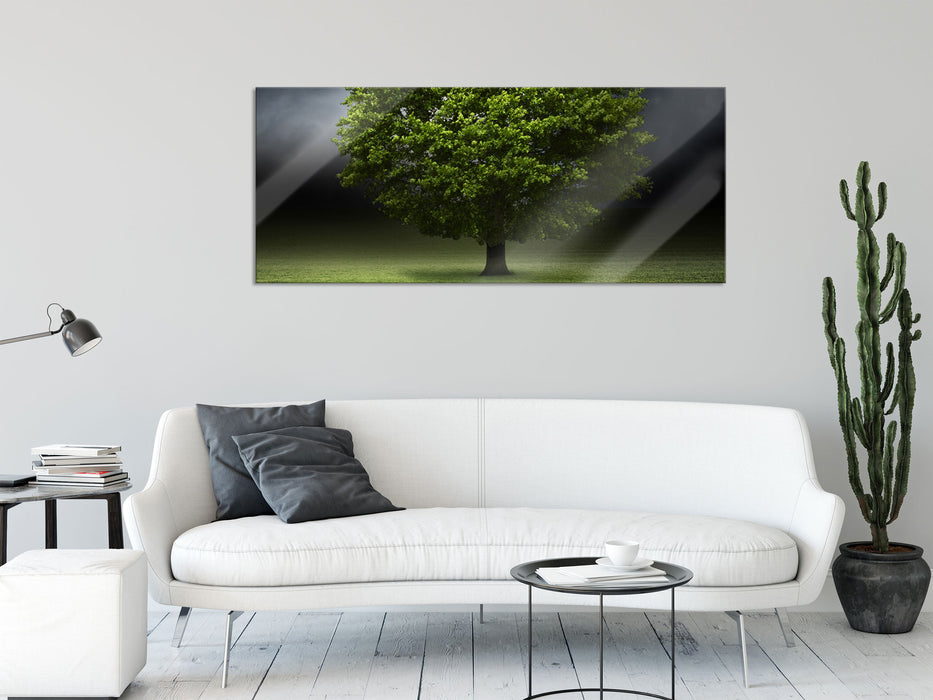 einzelner Baum auf grüner Wiese, Glasbild Panorama