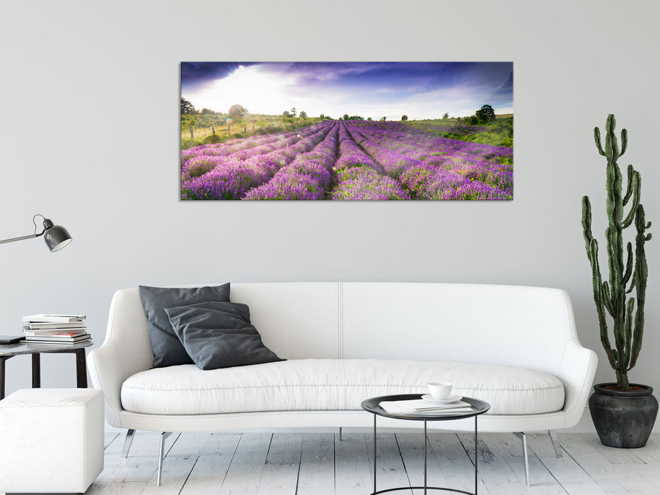 Lavendelfeld Provence, Glasbild Panorama