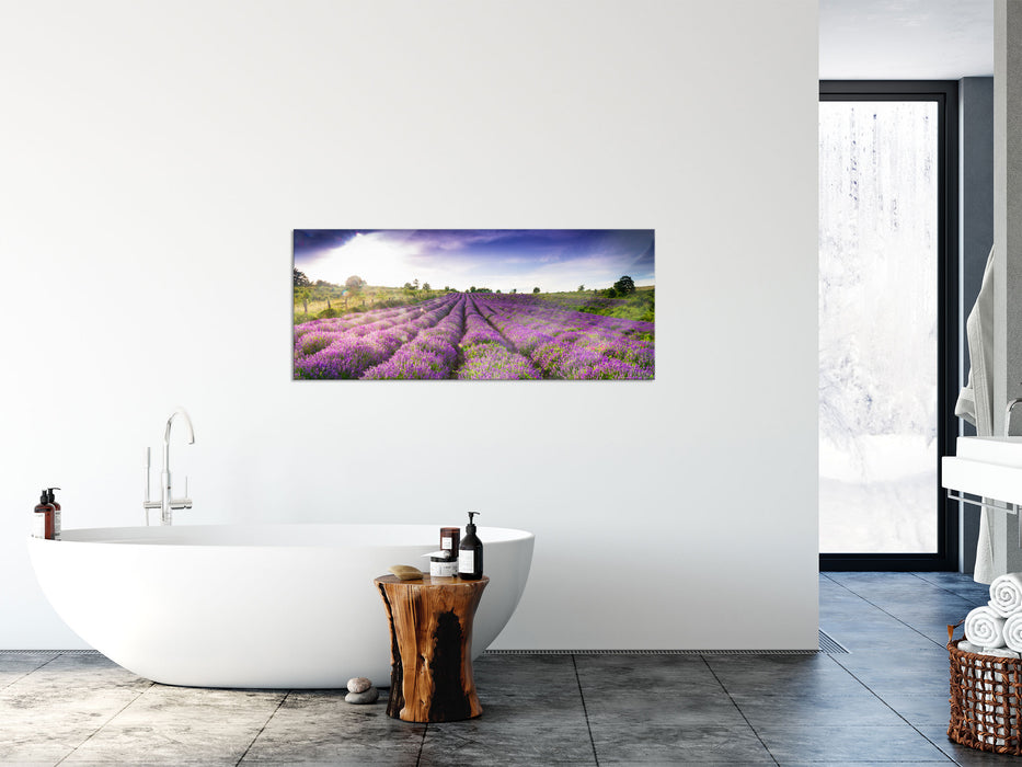 Lavendelfeld Provence, Glasbild Panorama