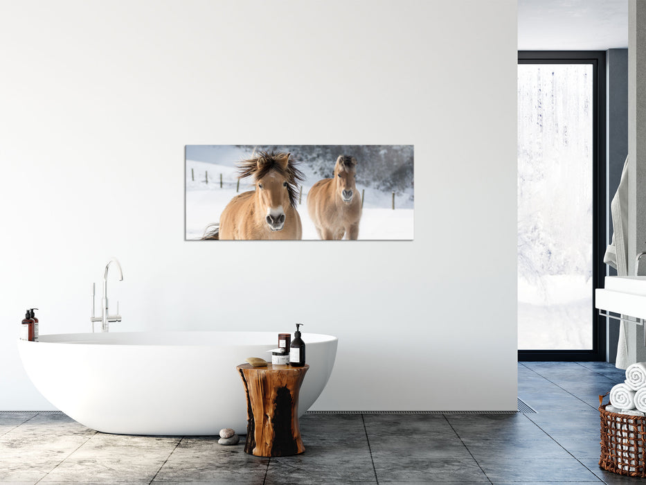 Pferd im Schnee, Glasbild Panorama