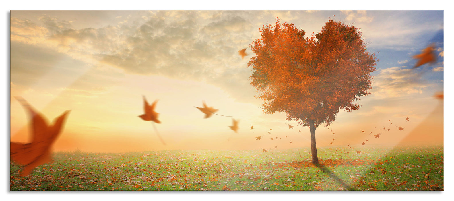 Herzbaum im Herbst, Glasbild Panorama