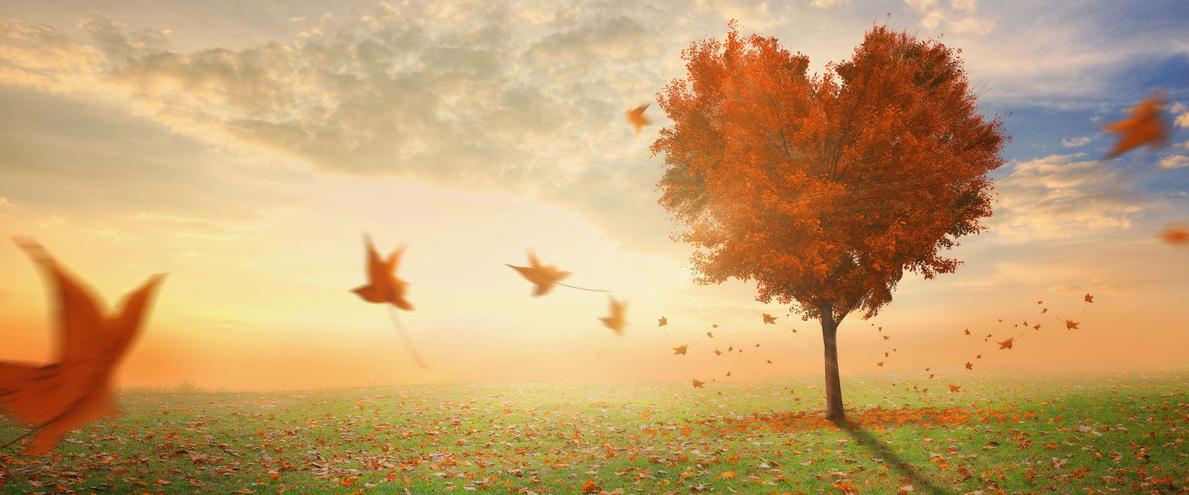 Herzbaum im Herbst, Glasbild Panorama