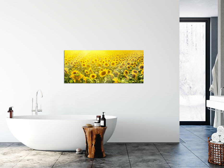 Riesiges Sonnenblumenfeld, Glasbild Panorama