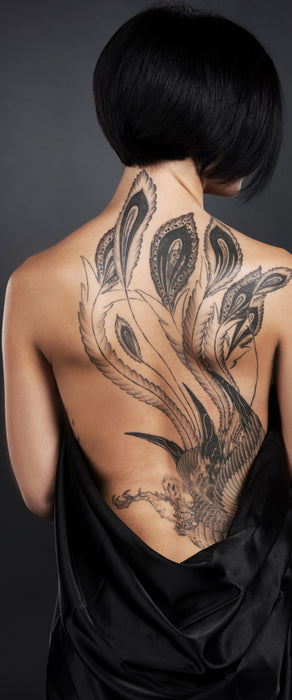 Sexy Dragon Tattoo, Glasbild Panorama