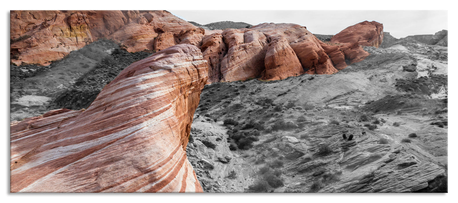 Pixxprint Karge Wüste in Nevada, Glasbild Panorama