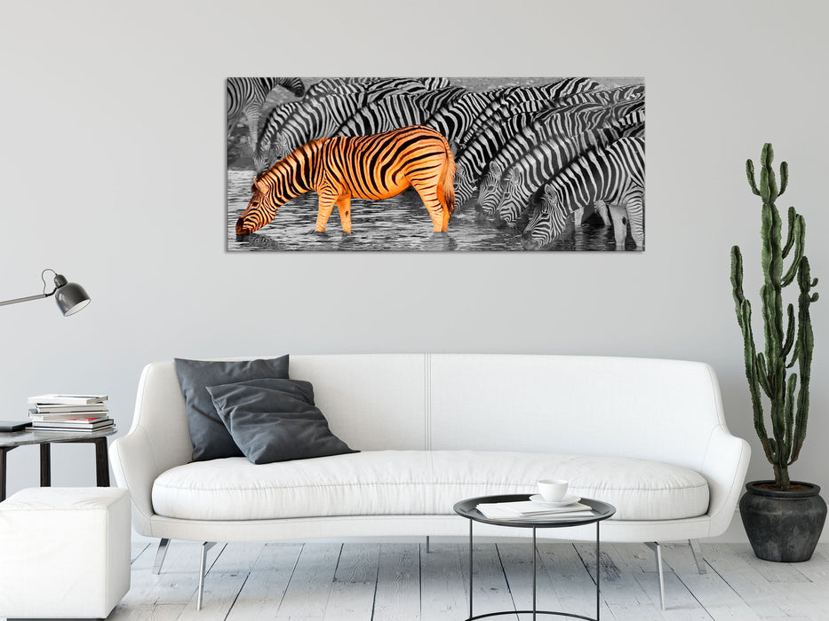 Zebras an der Wasserstelle, Glasbild Panorama