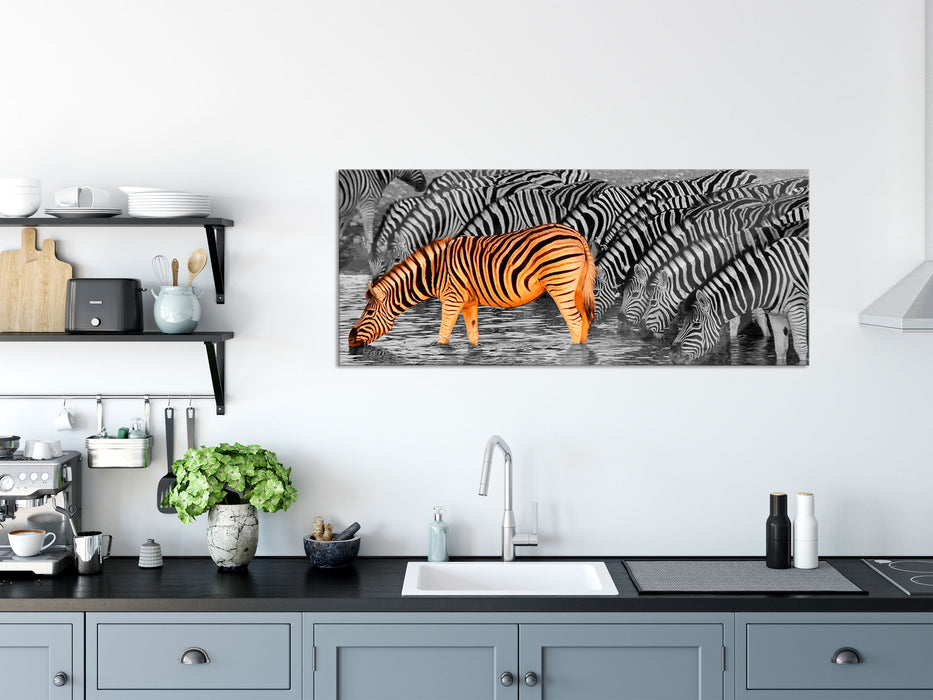 Zebras an der Wasserstelle, Glasbild Panorama